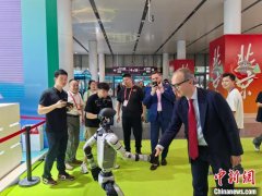 <b>做变换闪灼出保守纹样</b>